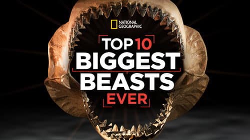 Top 10 Biggest Beasts Ever Bild 5