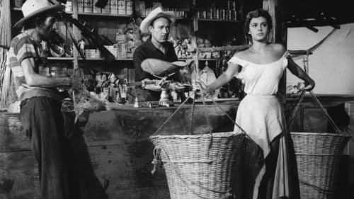 Brandung der Leidenschaft Bild 1