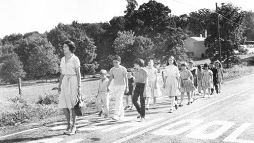 Ladybug Ladybug Bild 1