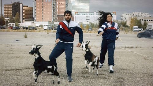 Vienna Calling Bild 3