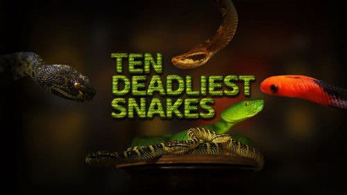 Ten Deadliest Snakes with Nigel Marven Bild 2