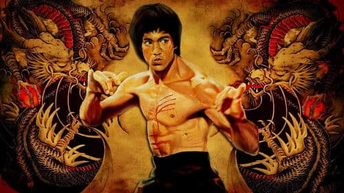 Bruce Lee - Der reißende Puma Bild 2