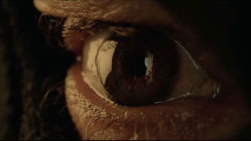 Sparrow's Call Bild 6