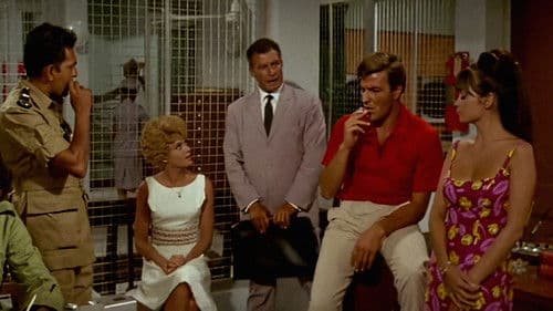 Kommissar X - Drei gelbe Katzen Bild 1