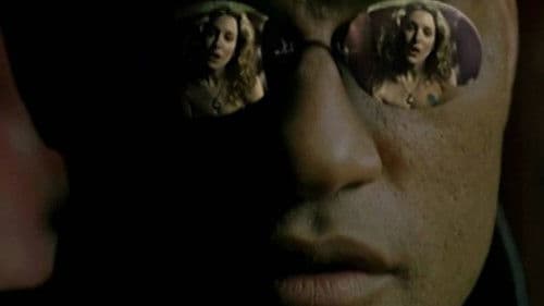 Sex and the Matrix Bild 1