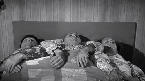 Cactus Makes Perfect Bild 3