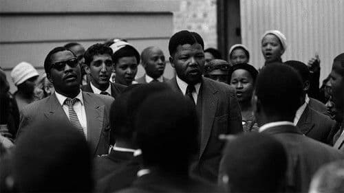 Zahlen schreiben Geschichte Bild 8