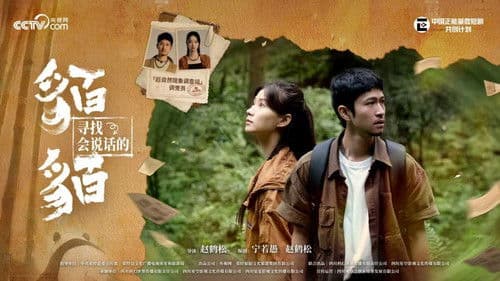 寻找会说话的貊貊 Bild 3