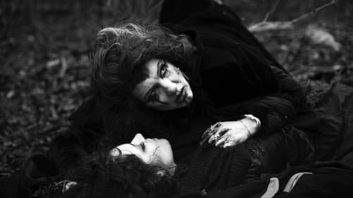 Spit and Ashes Bild 1