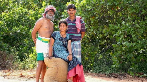 முந்திரிக்காடு Bild 1