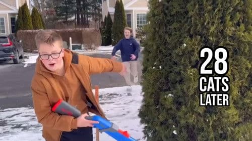 28 Cats Later Bild 1