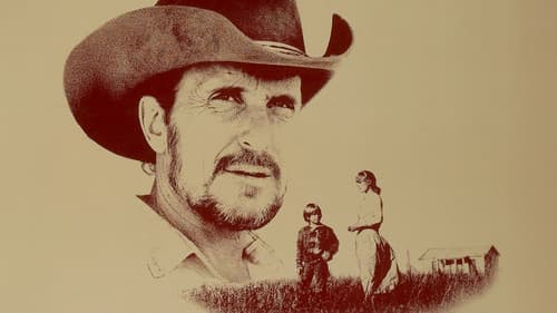 Comeback der Liebe Bild 3