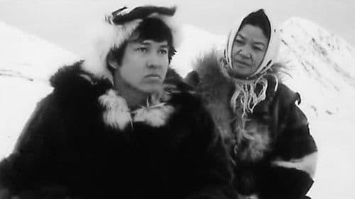 Самые красивые корабли Bild 1