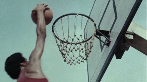 പോക്കുവെയിൽ Bild 3