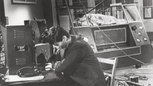 Der Fluch der Fliege Bild 7