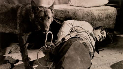 Fangs of Destiny Bild 1