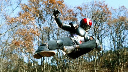 仮面ライダーBLACK Bild 8