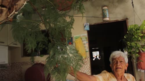 Curas da Terra Bild 1