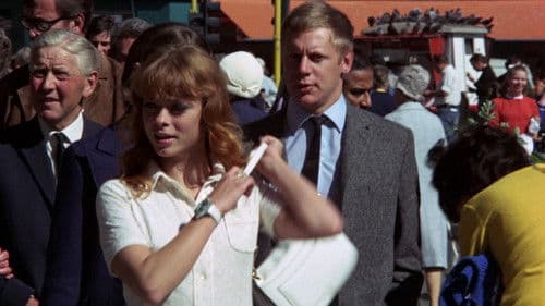 Die jüngsten Kätzchen sind die schärfsten Bild 2