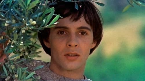 Bruder Sonne, Schwester Mond Bild 3