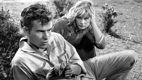 Das Totenschiff Bild 7