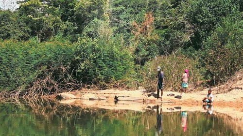 Ser Tão Velho Cerrado Bild 4