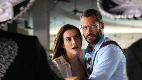 Qualquer Gato Vira-Lata 2 Bild 2