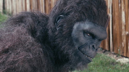 Schlock - Das Bananenmonster Bild 4