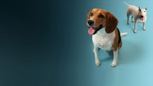 How Dogs Got Their Shapes Bild 1