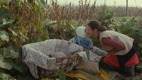 Gibt es zu Weihnachten Schnee Bild 2