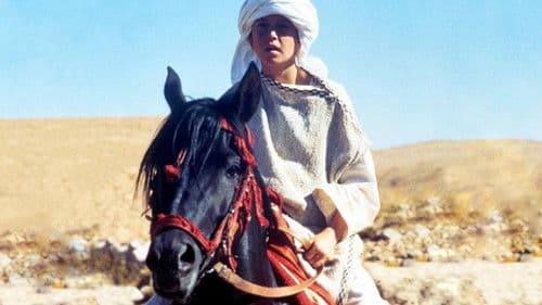 Der schwarze Hengst kehrt zurück Bild 2