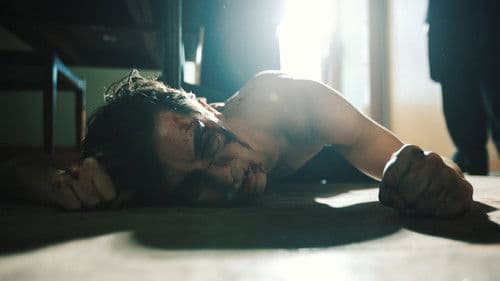 Camarada Cunhal Bild 1