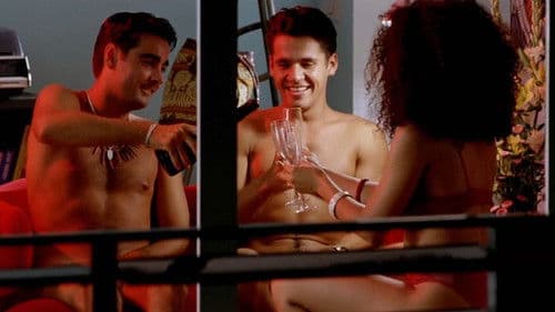 El perquè de tot plegat Bild 2