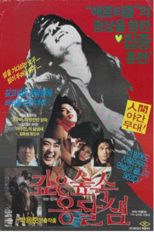 깊은 숲속 옹달샘