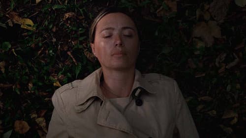 დასაწყისი Bild 6