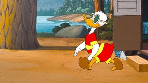 Happy Camping Bild 2