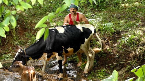 എൽസമ്മ എന്ന ആൺകുട്ടി Bild 7