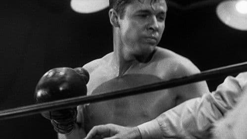 World in My Corner Bild 4