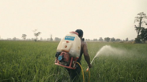 ฉากและชีวิต Bild 1