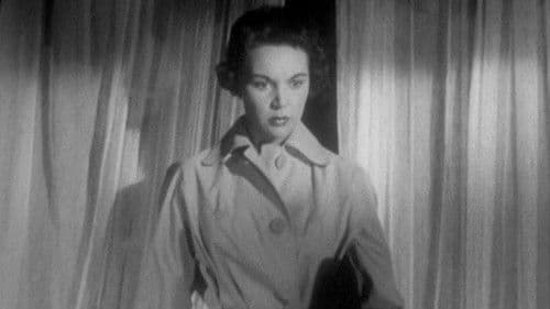 Stranger in Town Bild 2