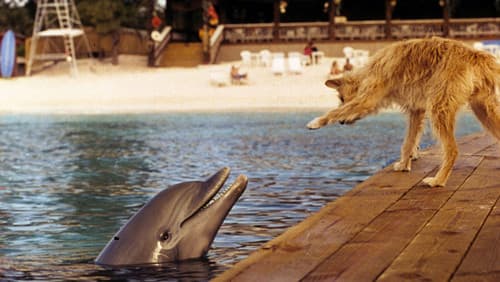 Zeus & Roxanne - Eine tierische Freundschaft Bild 2