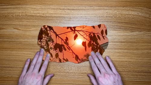 The World in Our Hands Bild 4