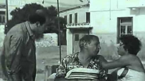 Διακοπές στην Αίγινα Bild 8