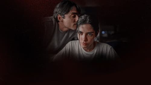 Dias Perfeitos Bild 7