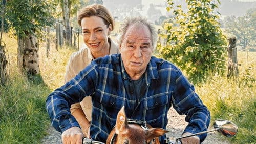 Zimmer mit Stall - Schwein gehabt Bild 1