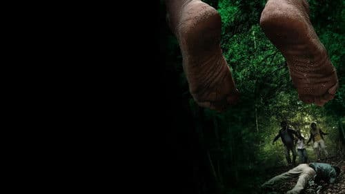 अज्ञात Bild 2