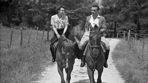 La sua strada Bild 7