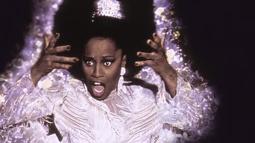 Jackie's Back! Bild 3