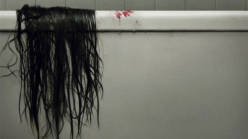 The Grudge Bild 8