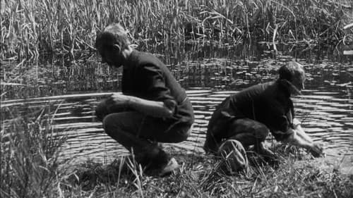 Landsvägriddare Bild 1